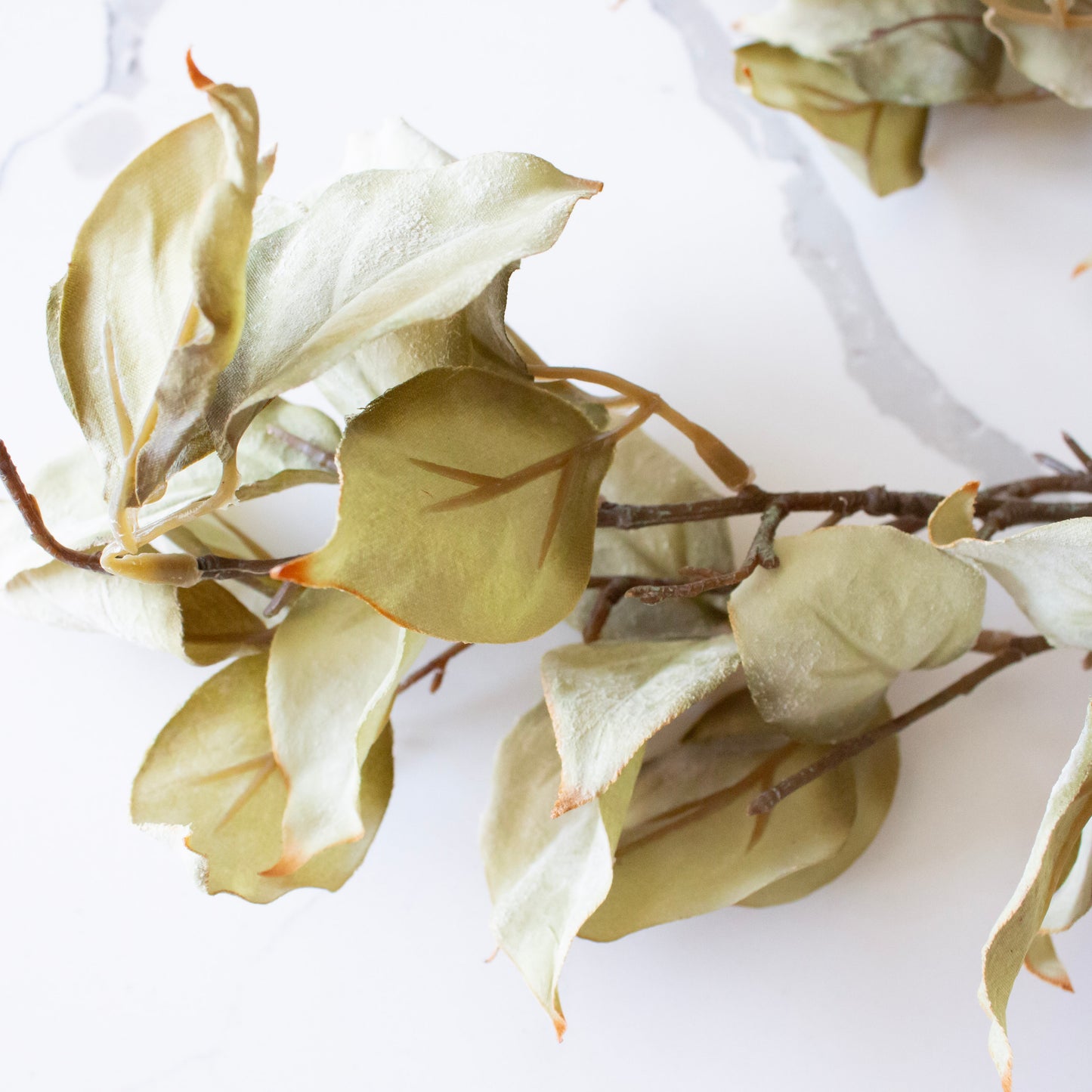 Leaf Branch | Sage