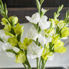 Real Touch Gladiolus Stem | White