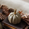 Gray Mango Wood Pumpkin Container | Small