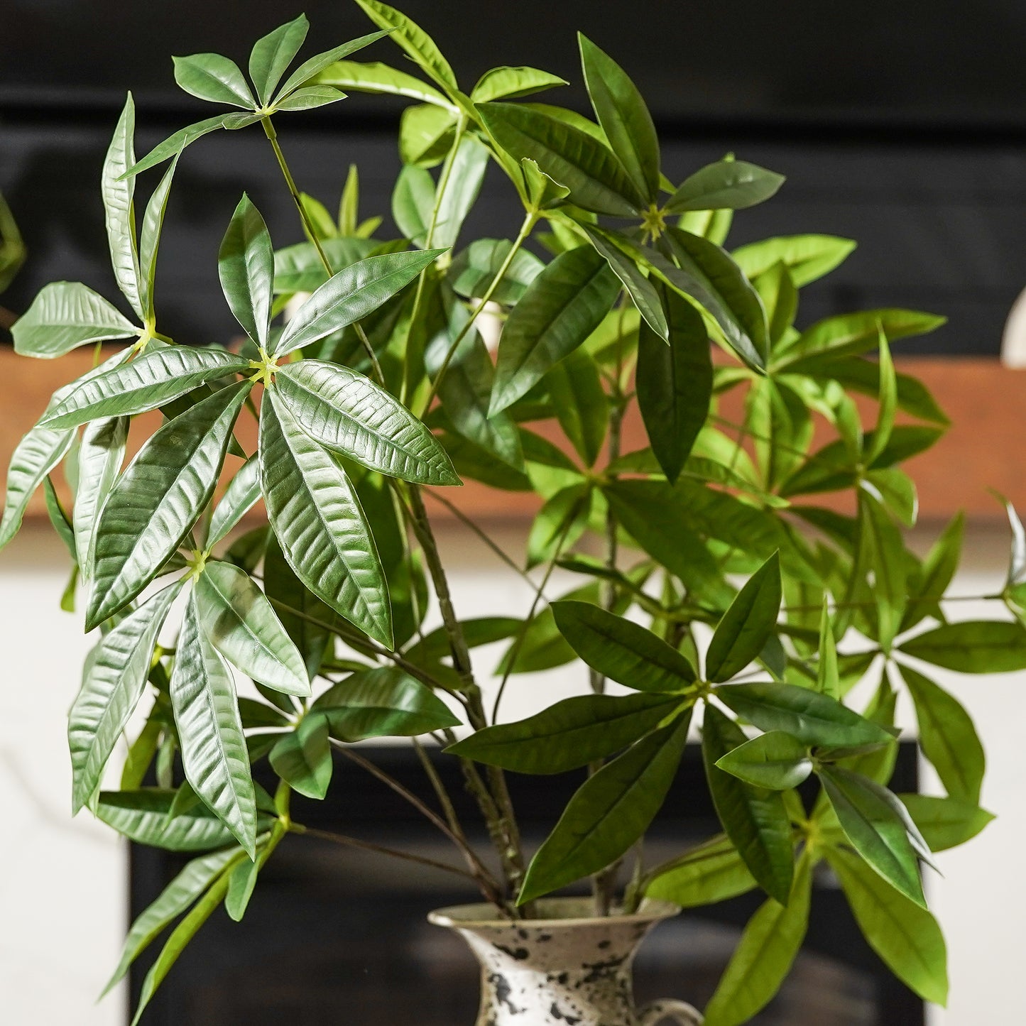 Money Tree Branch