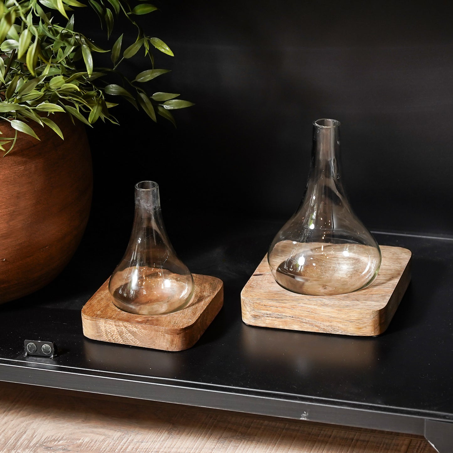Two glass decanters on wooden stands with a plant in the background.