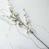 Cherry Blossom Stem