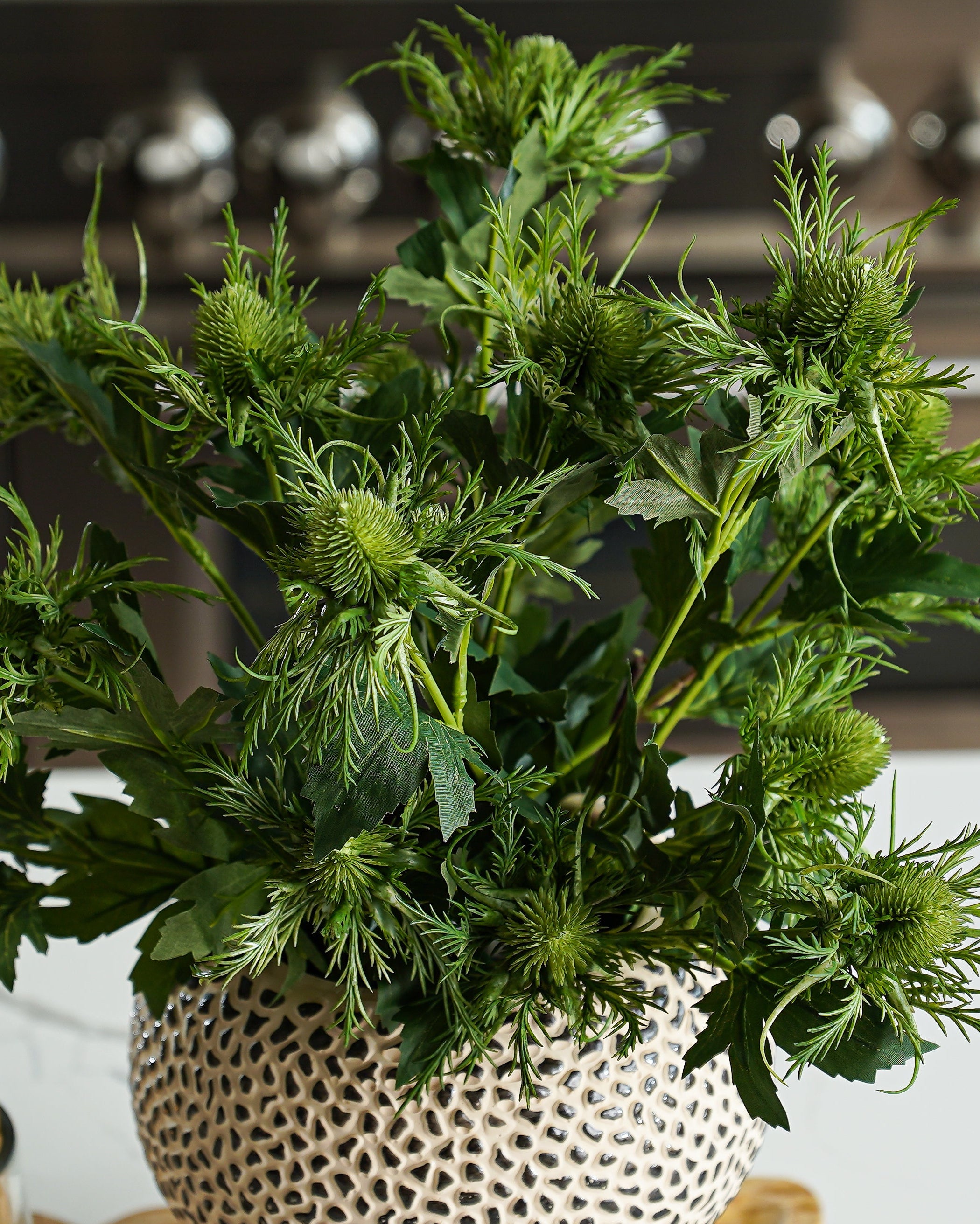 Eryngo Green Thistle Stem