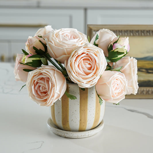 Golden Stripe Planter with Saucer