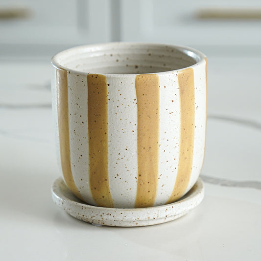Ceramic cup with gold stripes on a white background