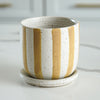 Ceramic cup with gold stripes on a white background
