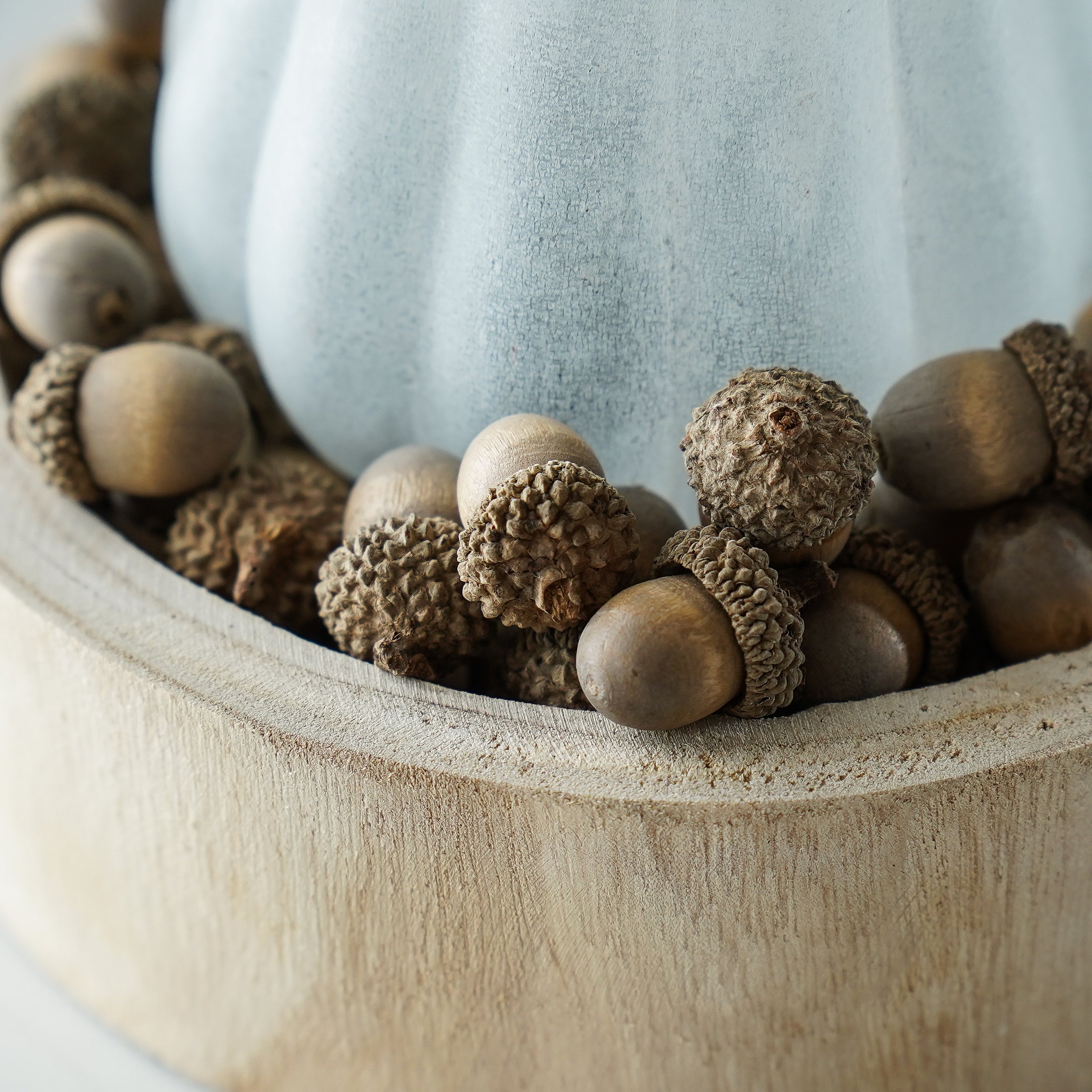 Bag of Faux Cream Acorns