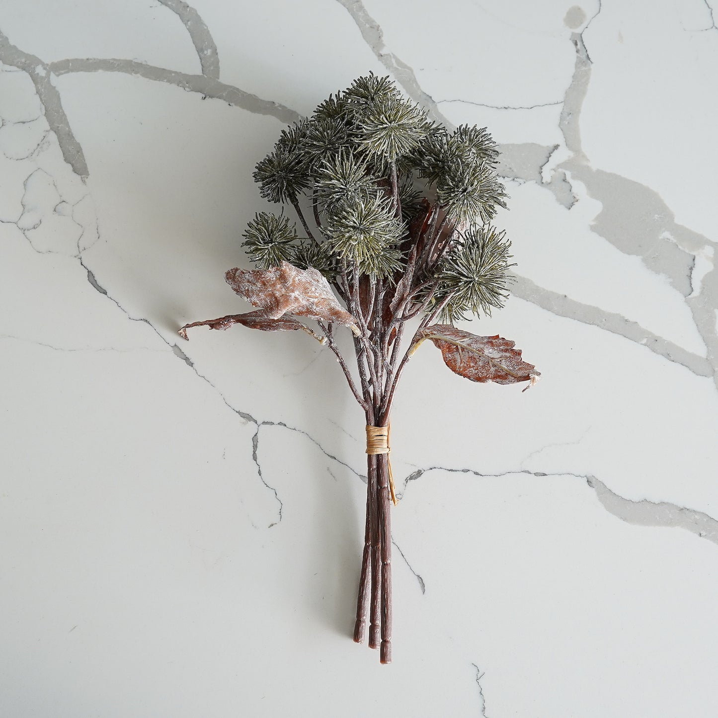 Harvest Sycamore Bundle | 3 Stems