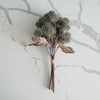 Harvest Sycamore Bundle | 3 Stems