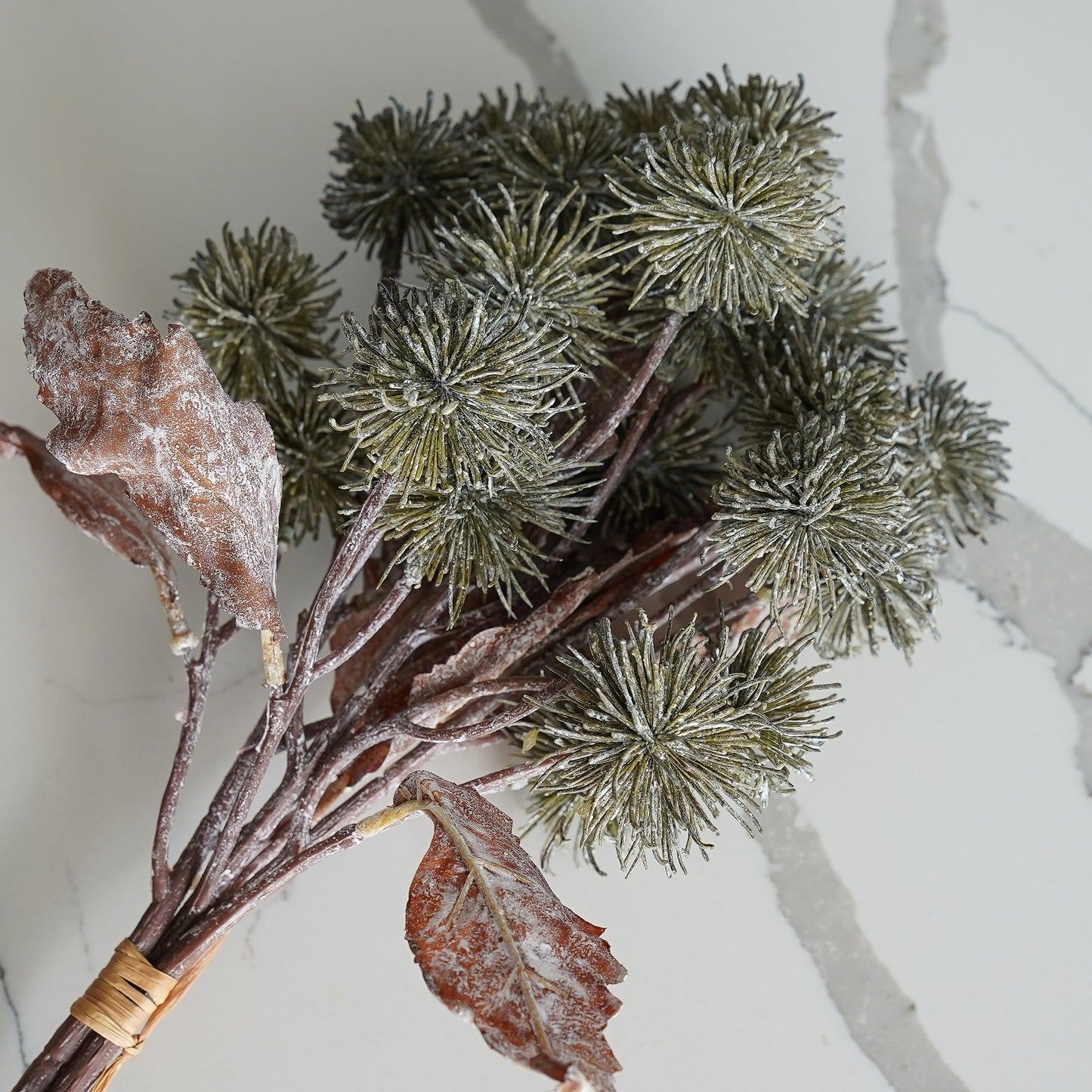 Harvest Sycamore Bundle | 3 Stems