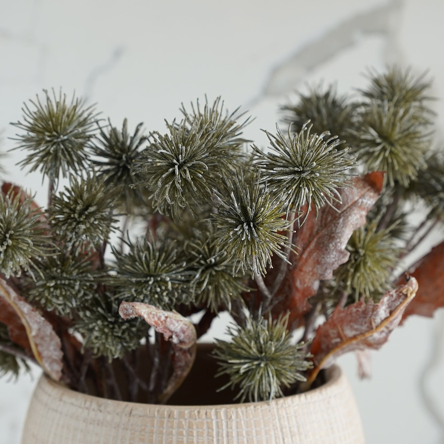 Harvest Sycamore Bundle | 3 Stems