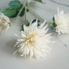 Chrysanthemum Stem | Cream