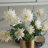 Chrysanthemum Stem | Cream