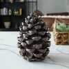 Resin Decorative Pinecone