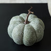 Sage Whitewashed Pumpkin | Textured Fall Decor