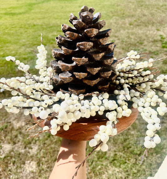 Winter Pine Gathering Bundle