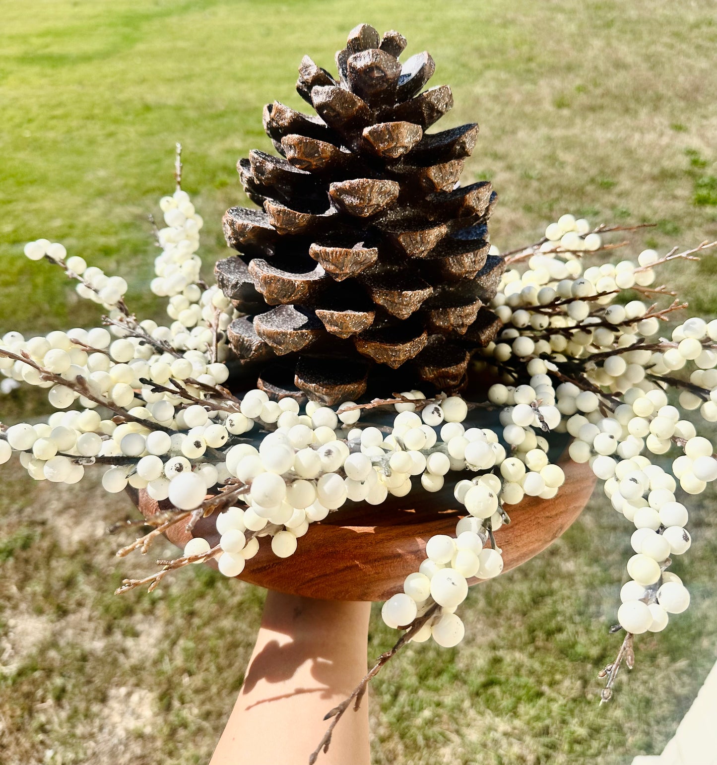 Winter Pine Gathering Bundle