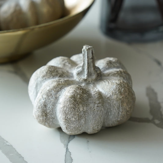 Wood Look Pumpkin | Whitewashed Resin Fall Decor