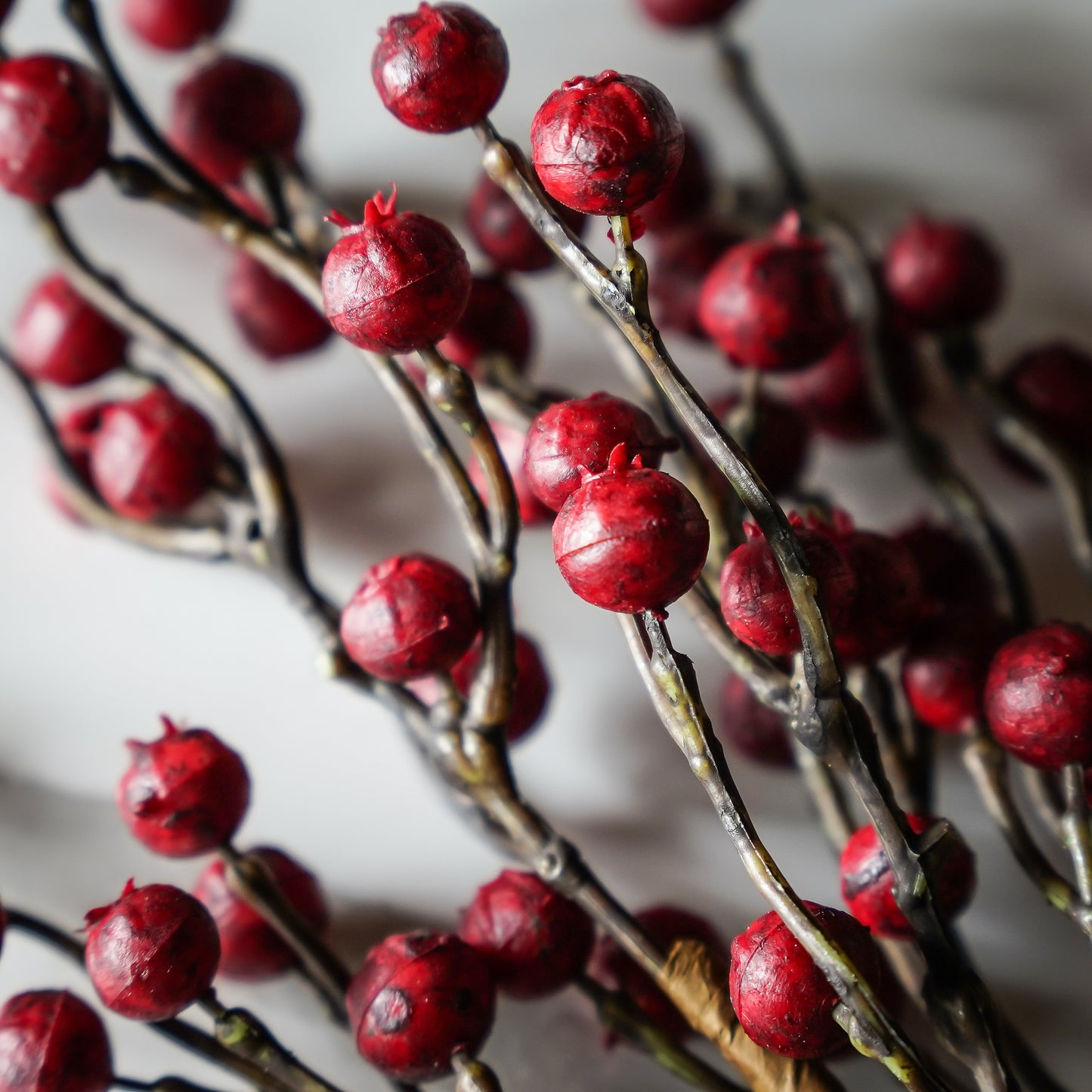 Hearth Berry Bush | 15"