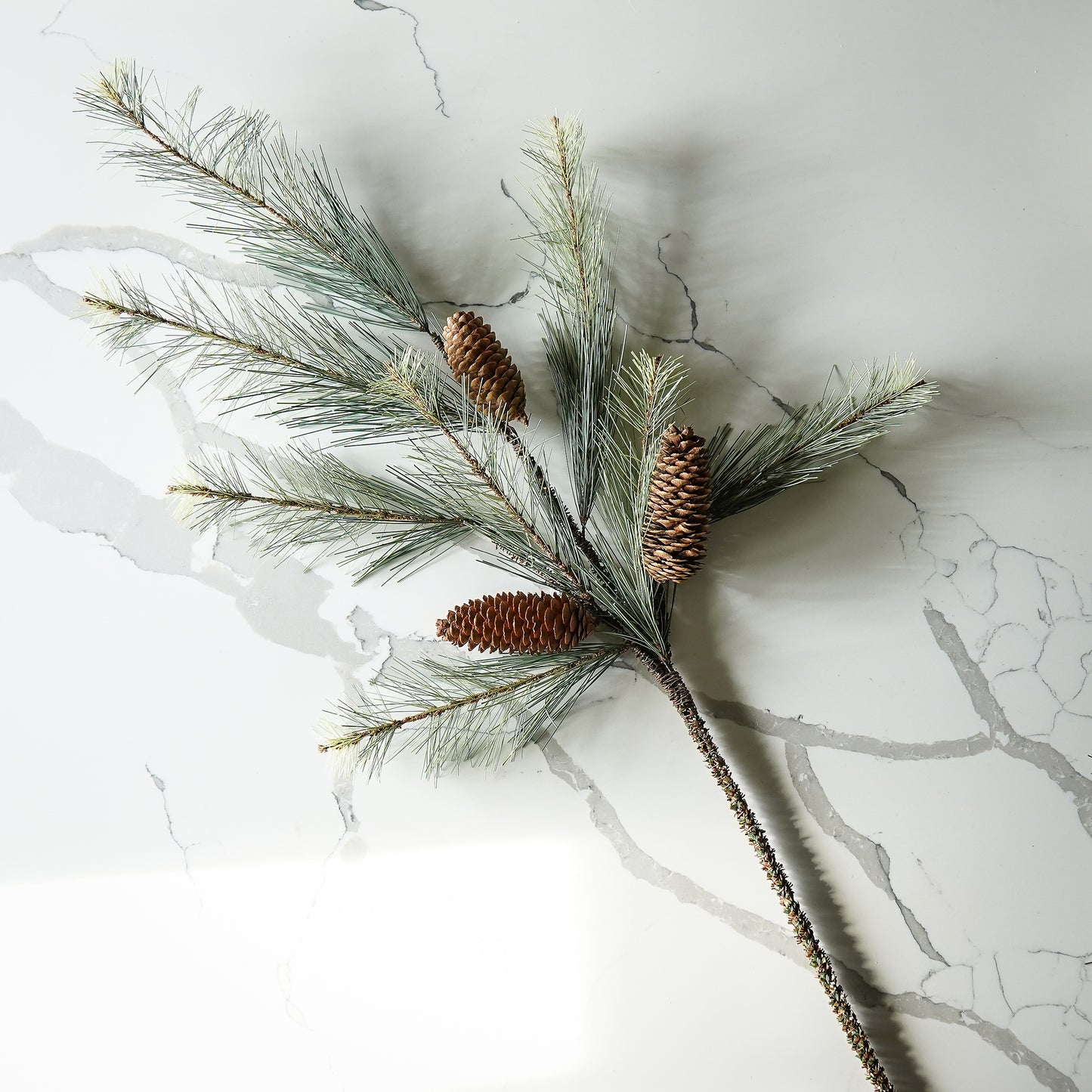 Black Valley Pine Spray