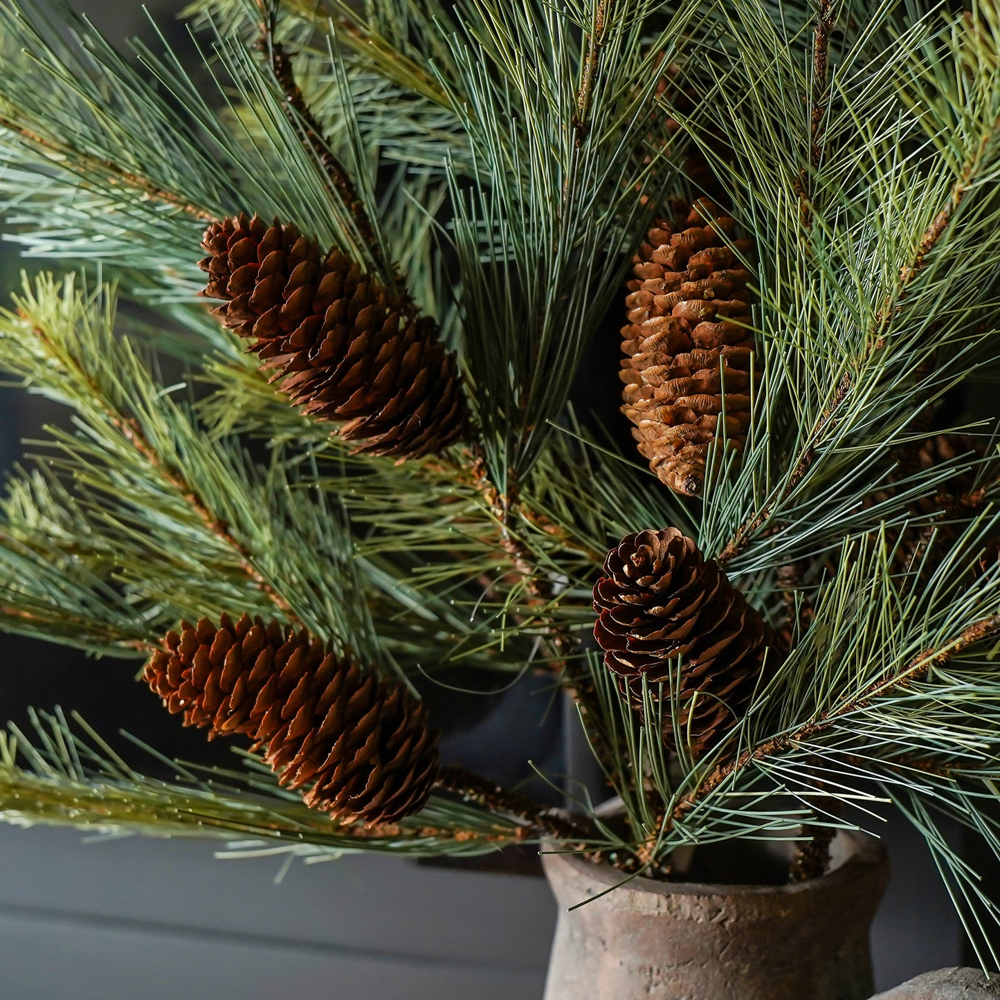 Black Valley Pine Spray