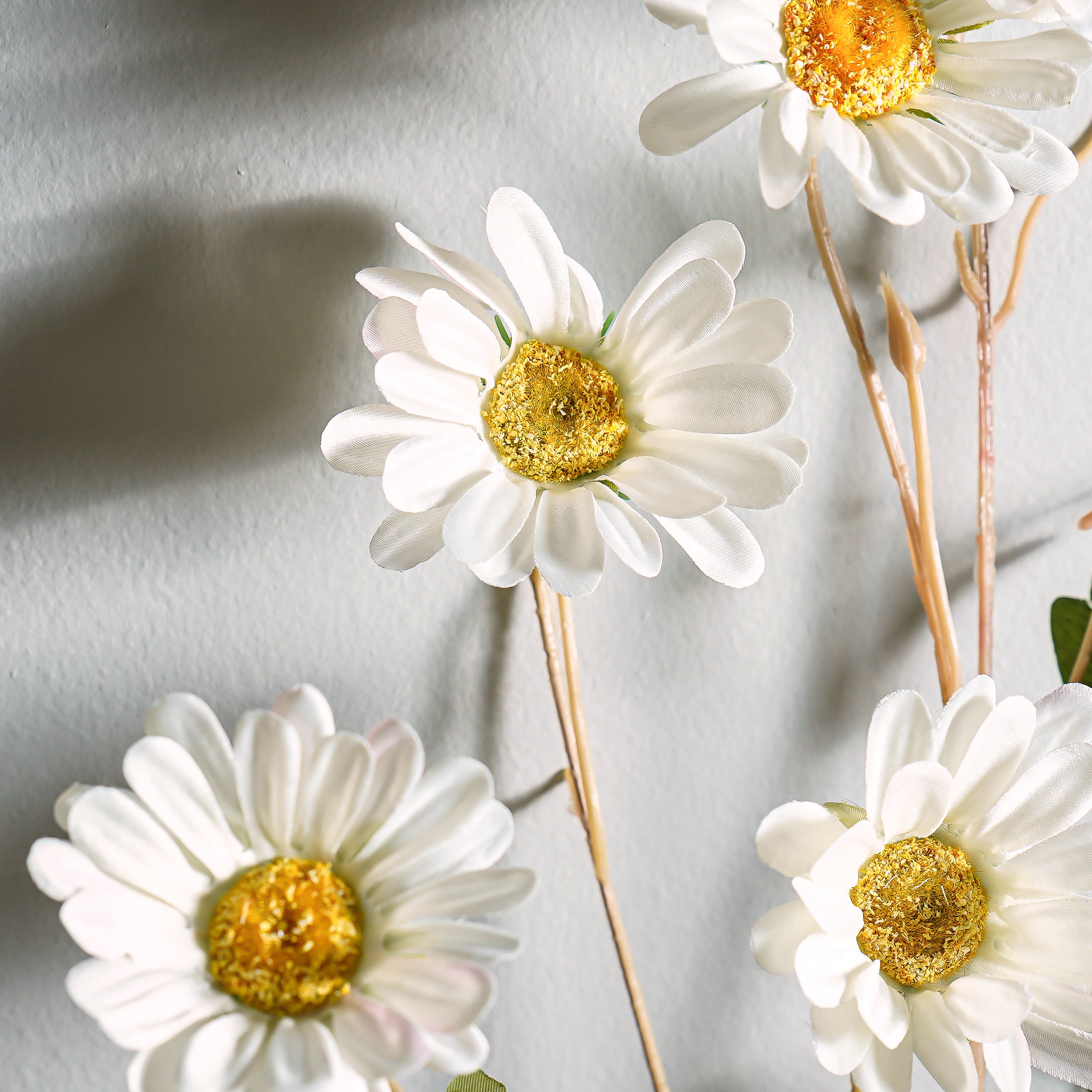 Tully Daisy Stem