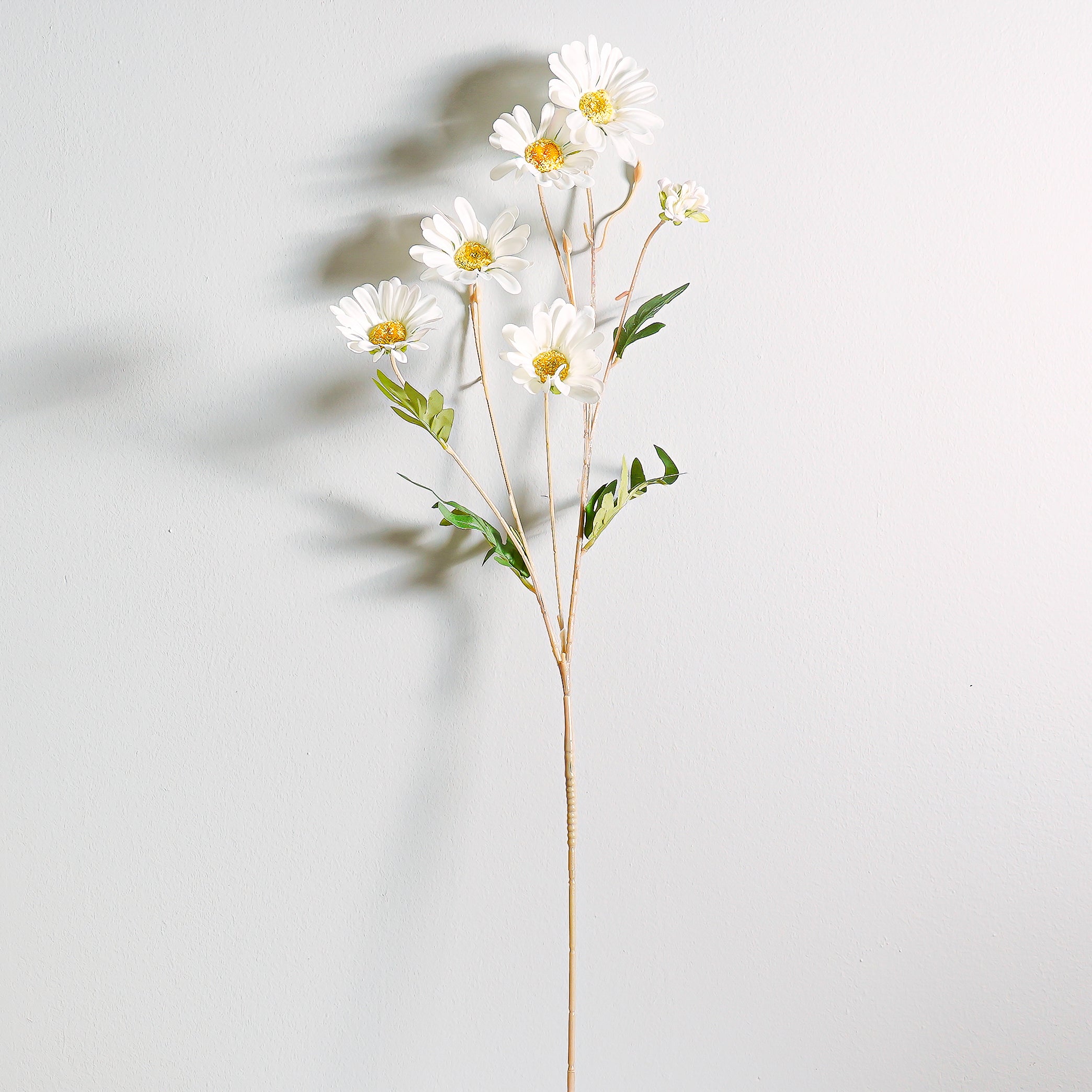 Tully Daisy Stem