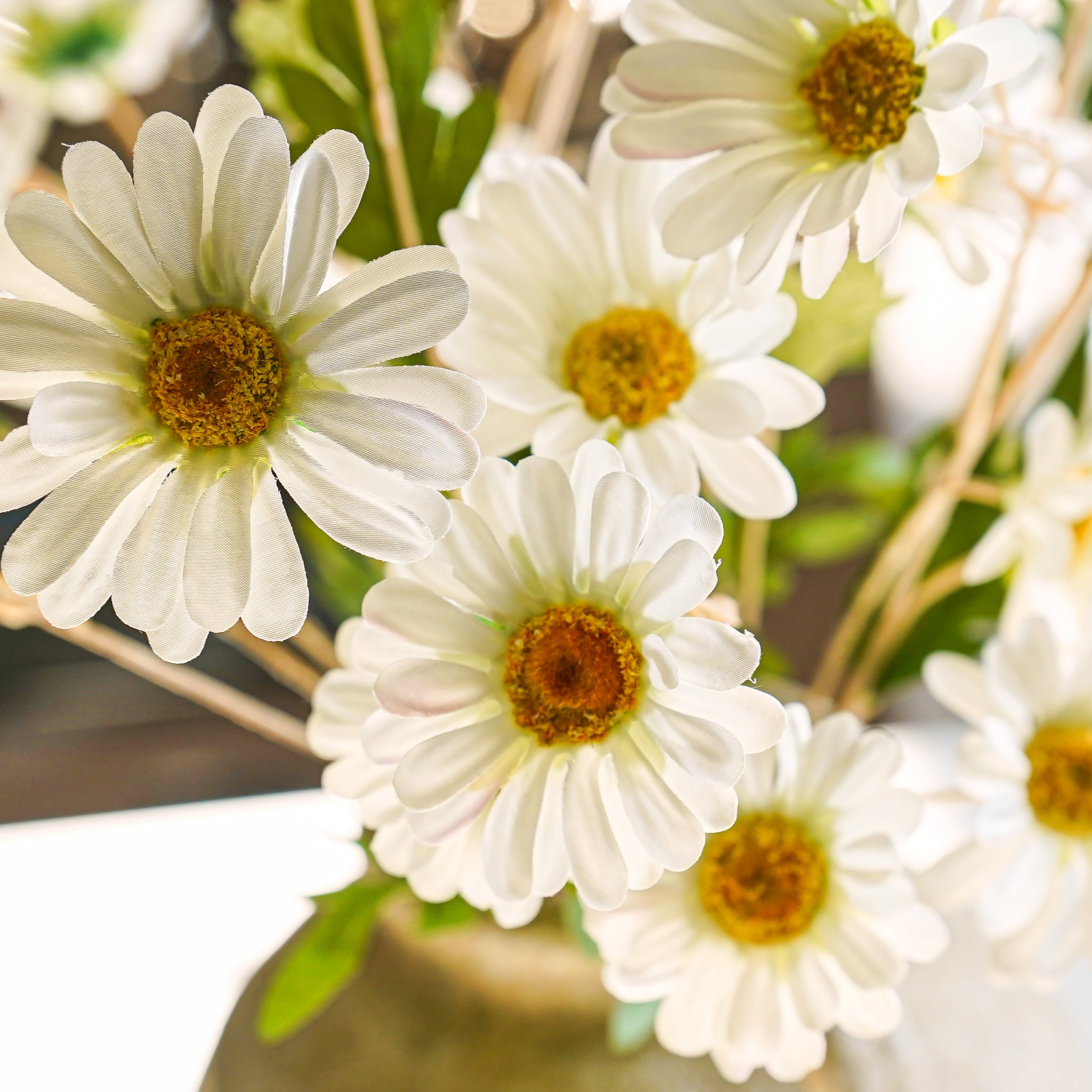 Tully Daisy Stem