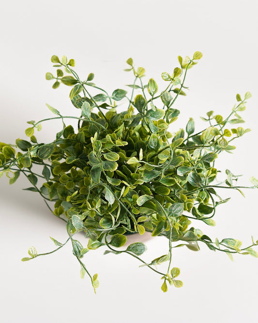 Whisperleaf Half Sphere