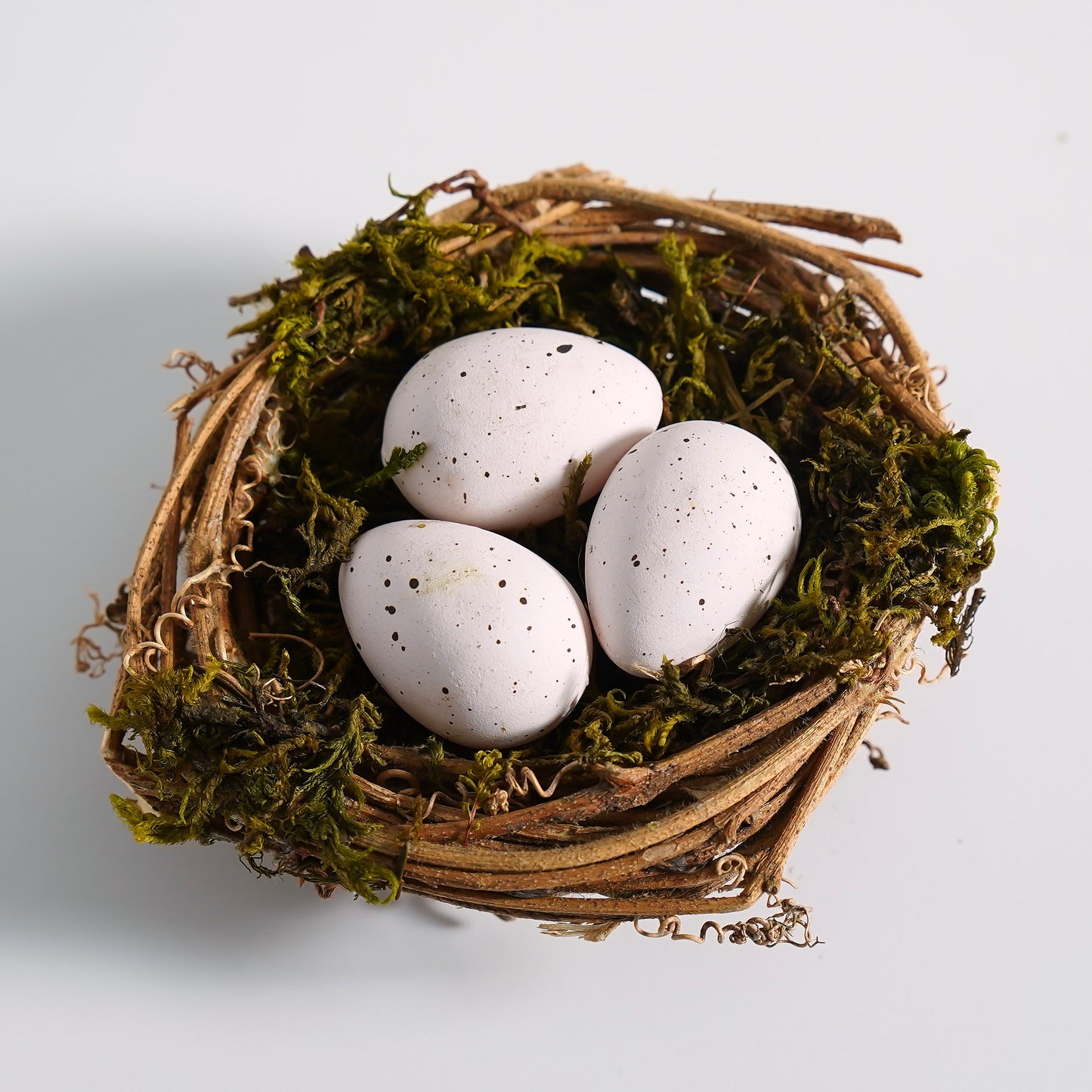 Mossy Twig Nest