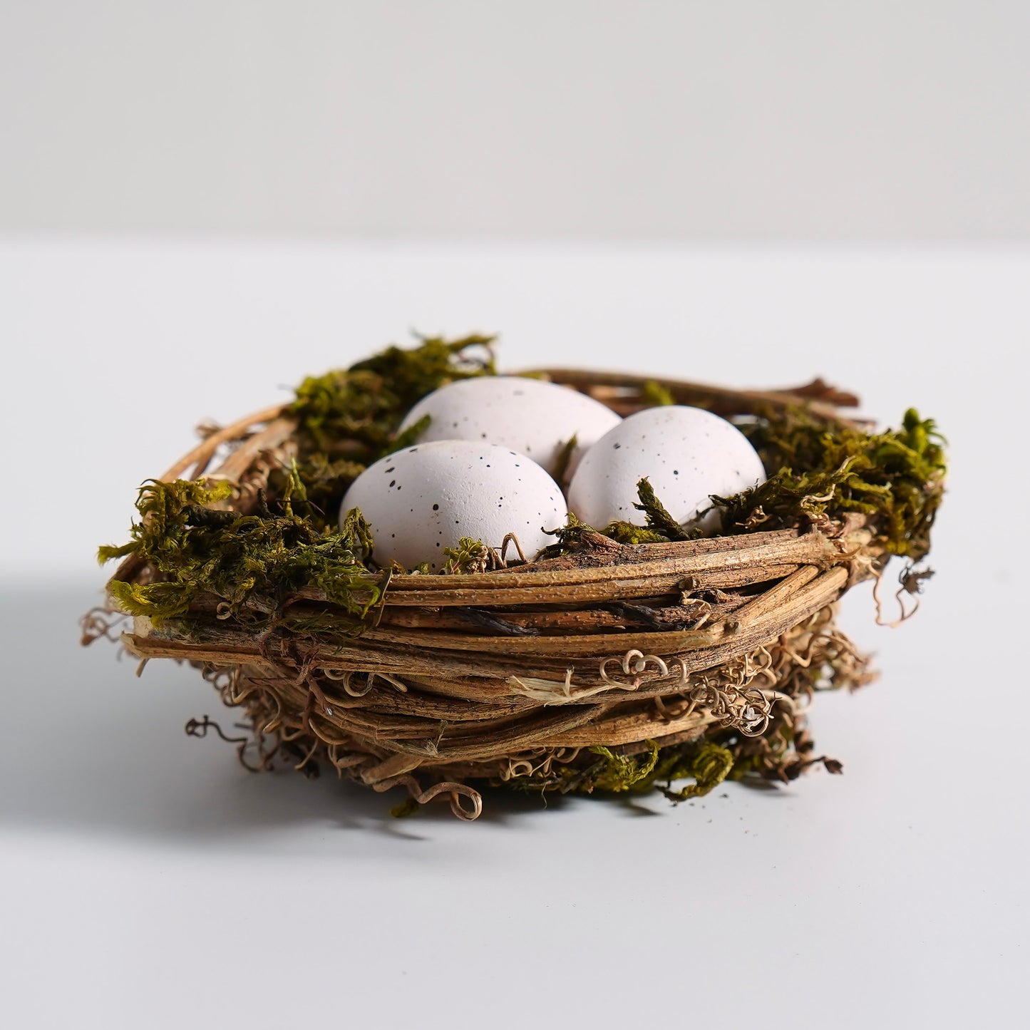 Mossy Twig Nest