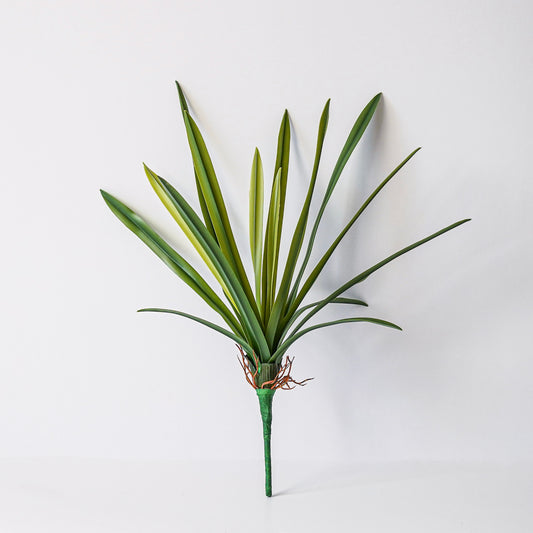 Olympia Real Touch Agave Pick