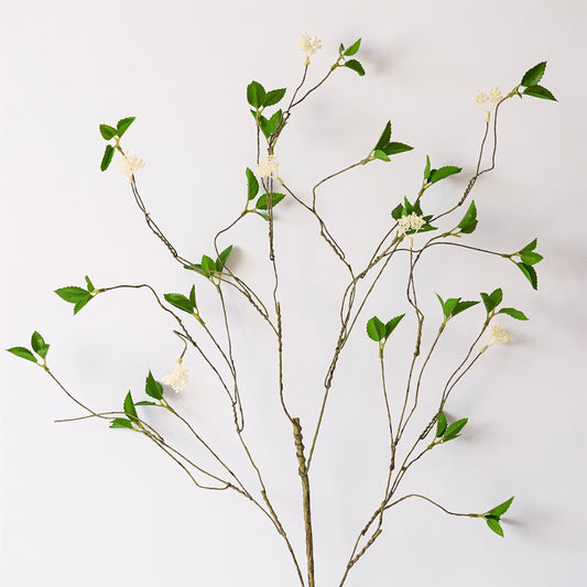 Crabapple Flowering Branch