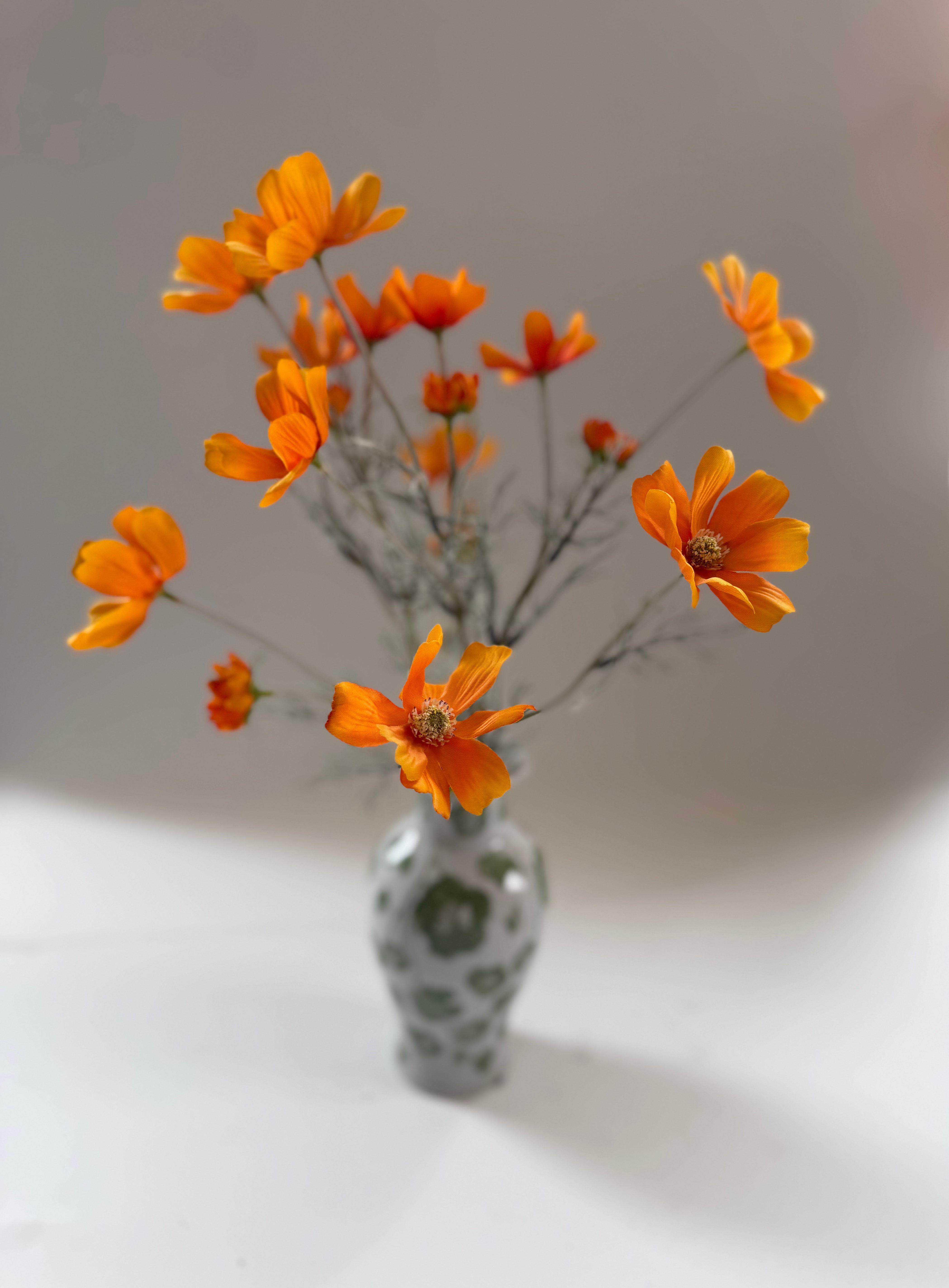 Sunset Marigold Cosmo Stem