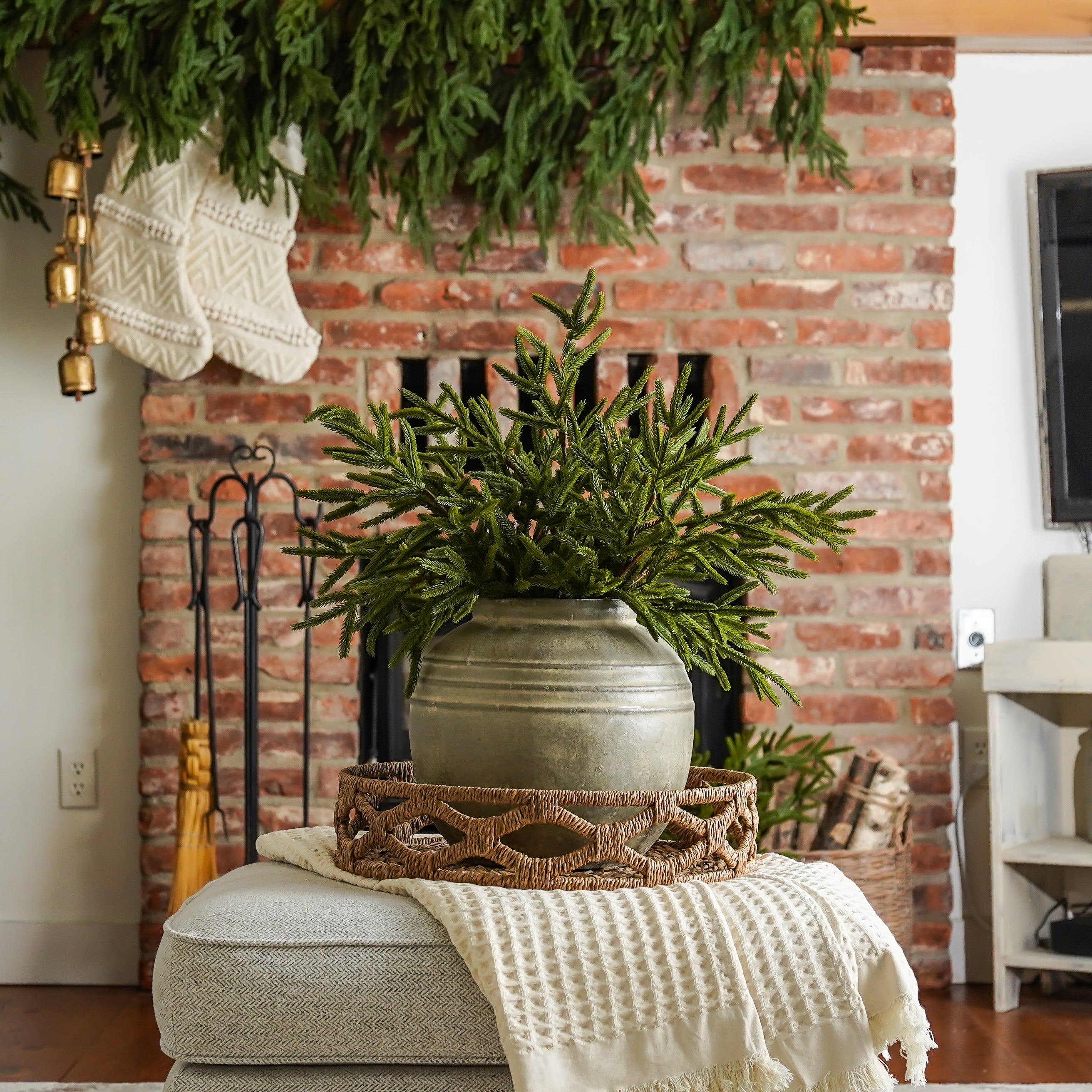 Real Touch Blissful Norfolk Pine Stem
