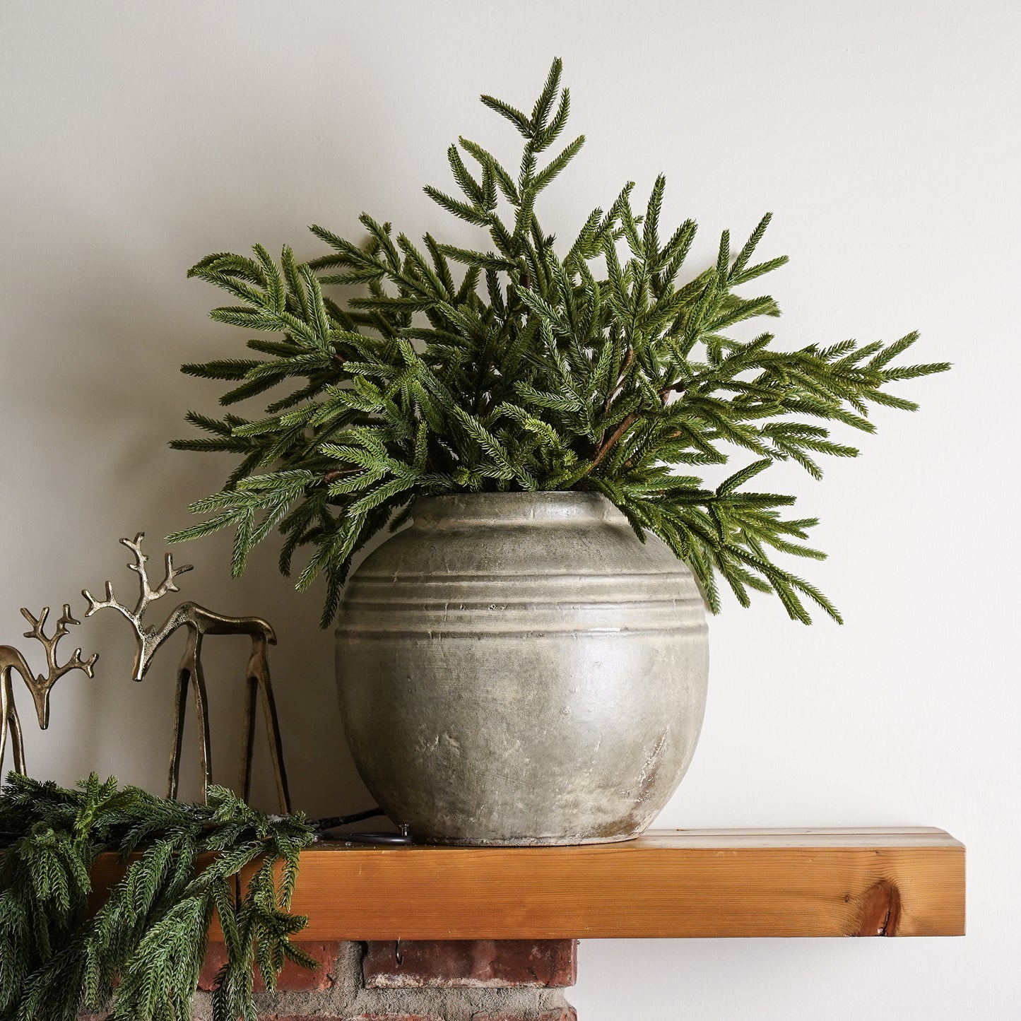 Real Touch Blissful Norfolk Pine Stem