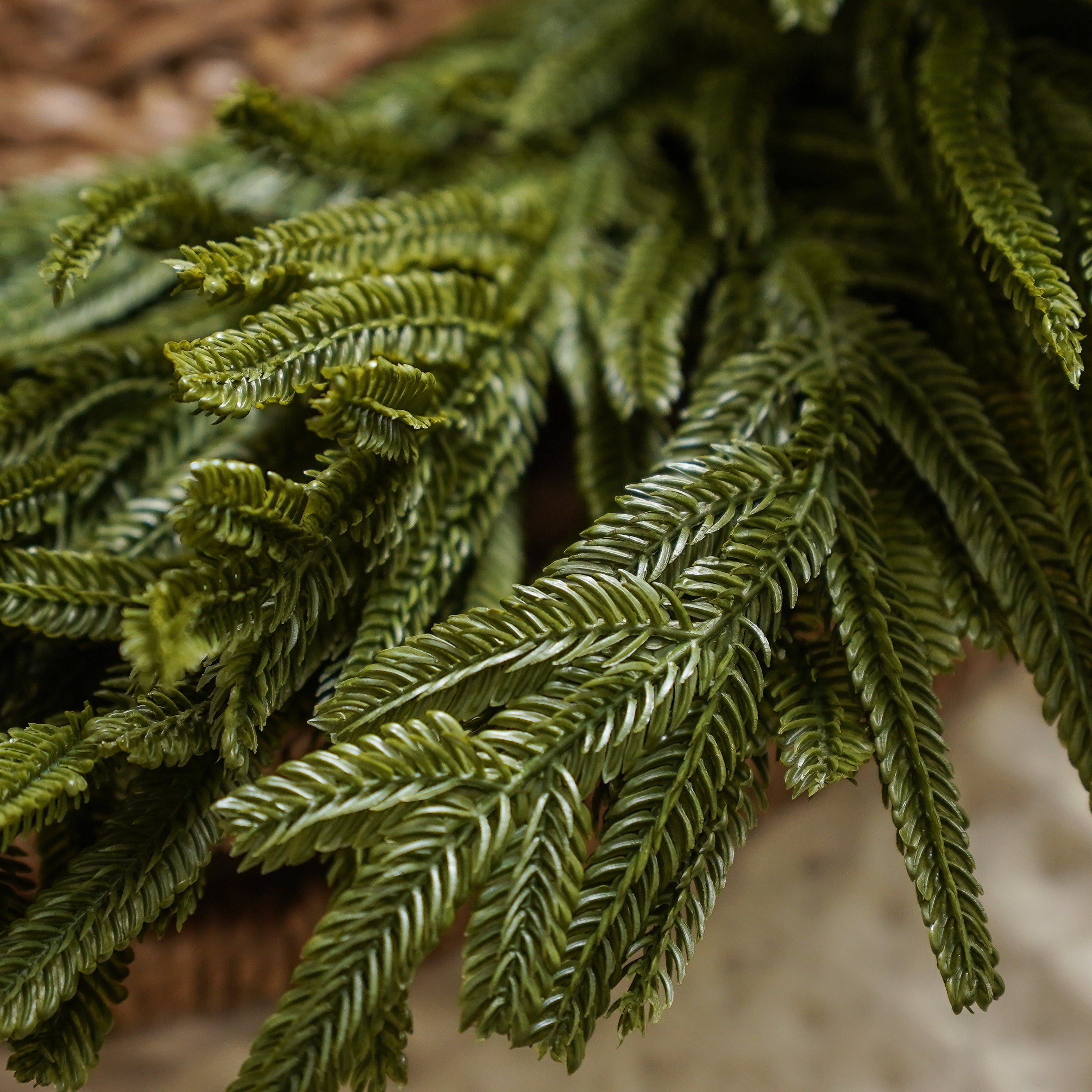Real Touch Blissful Norfolk Pine Wreath