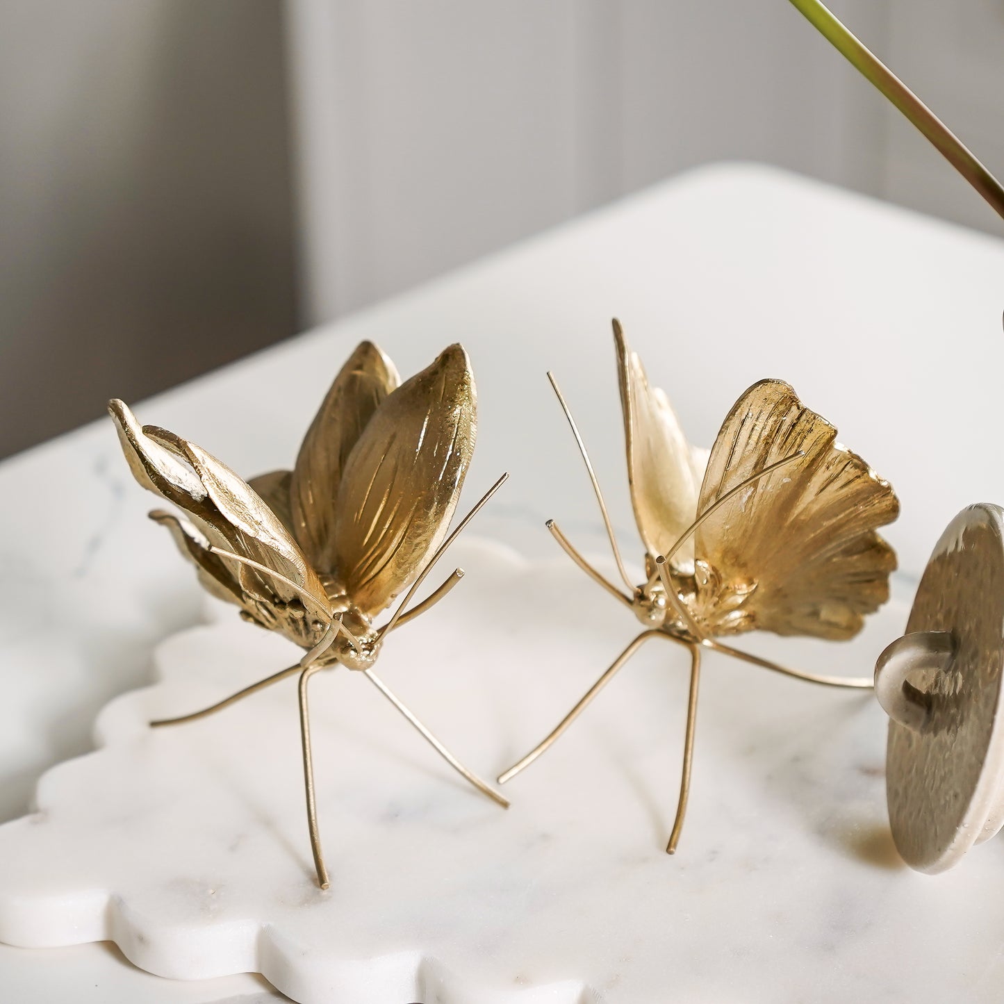 Champagne Gold Butterfly | PRE-ORDER