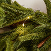 LED Real Touch Blissful Norfolk Pine Wreath