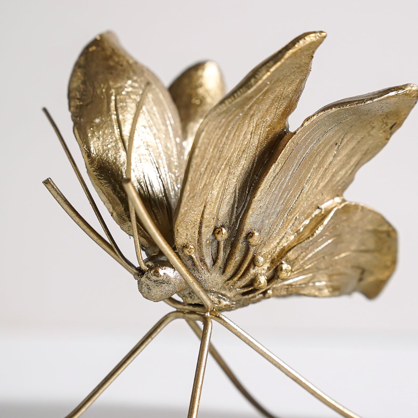 Champagne Gold Butterfly | RETURNING AUGUST