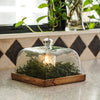 Real Touch Cedar Lake Candle Ring