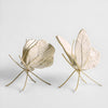 Leaf Wing Butterfly | Ivory & Gold