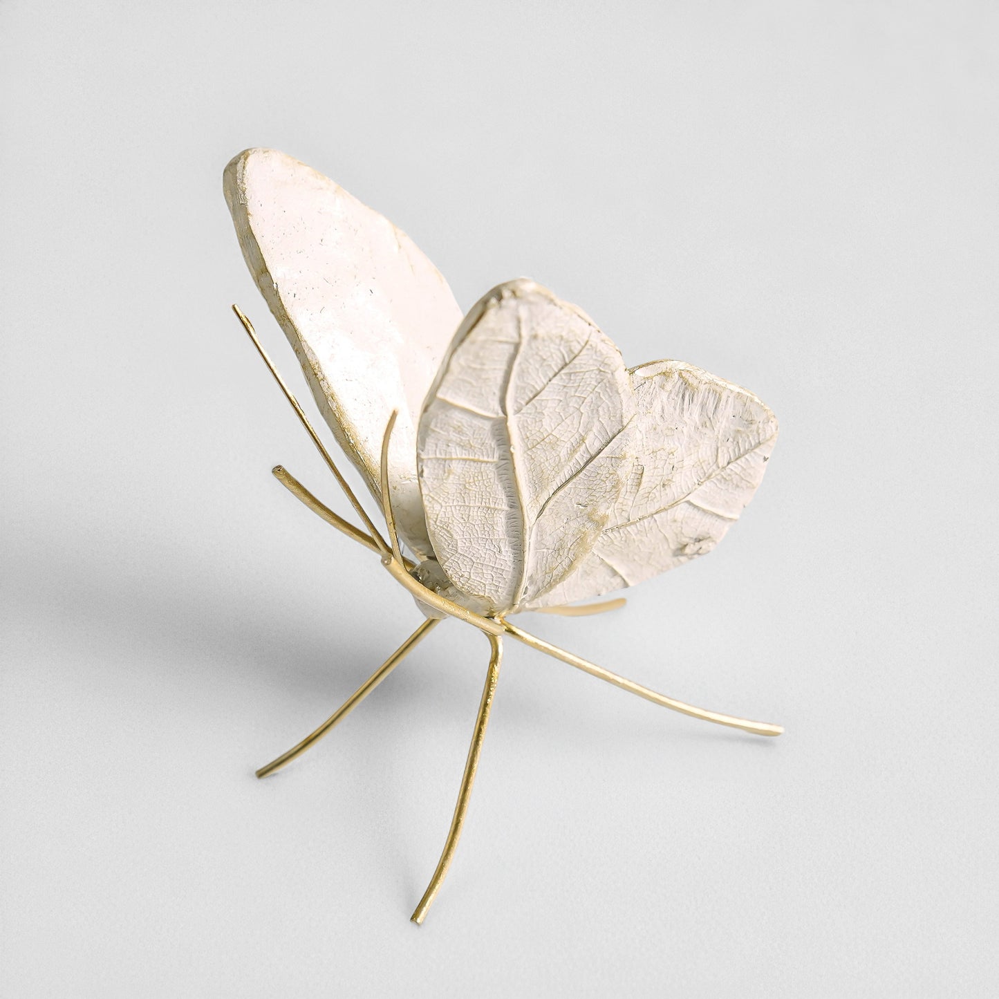 Leaf Wing Butterfly | Ivory & Gold