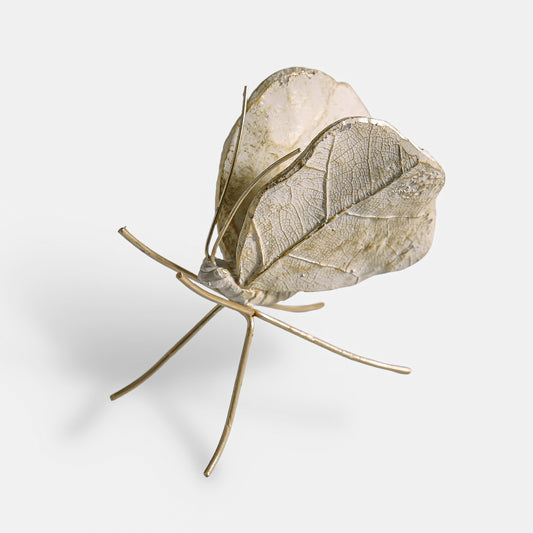 Leaf Wing Butterfly | Ivory & Gold