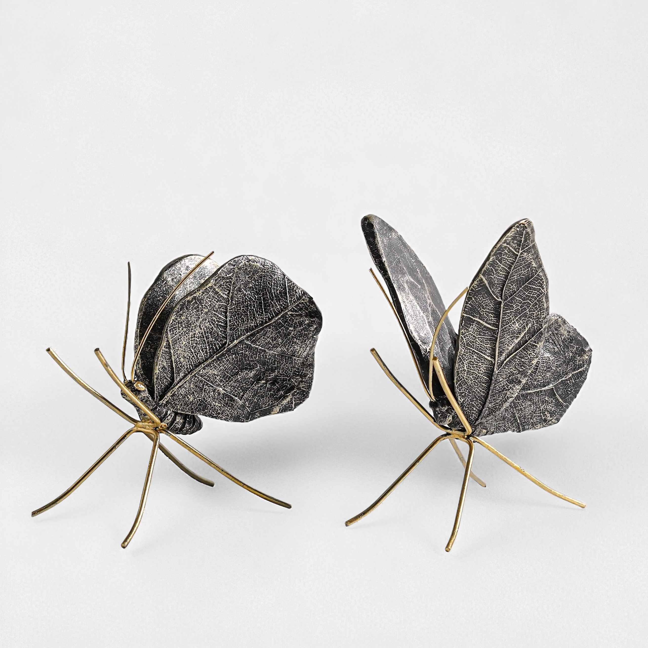 Leaf Wing Butterfly Set | Black & Gold