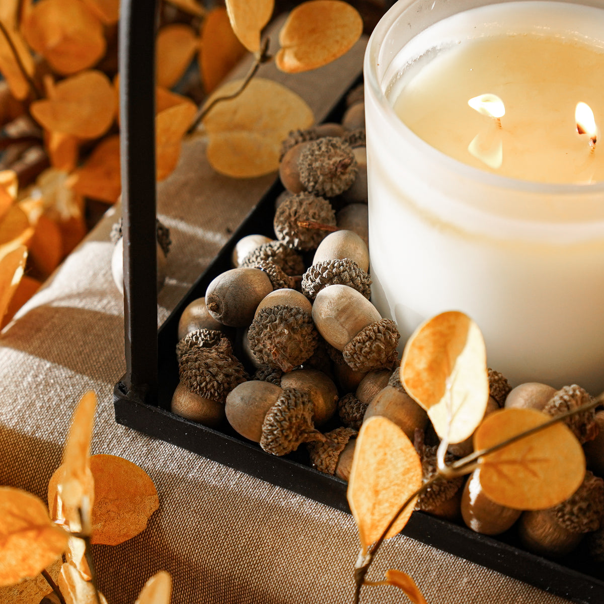 Bag of Faux Cream Acorns