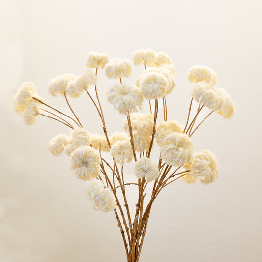 Flocked Cream Clematis Spray