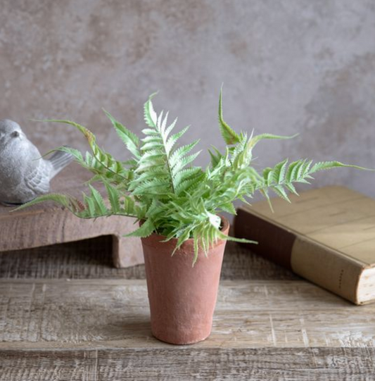 Henry Bright Green Potted Fern