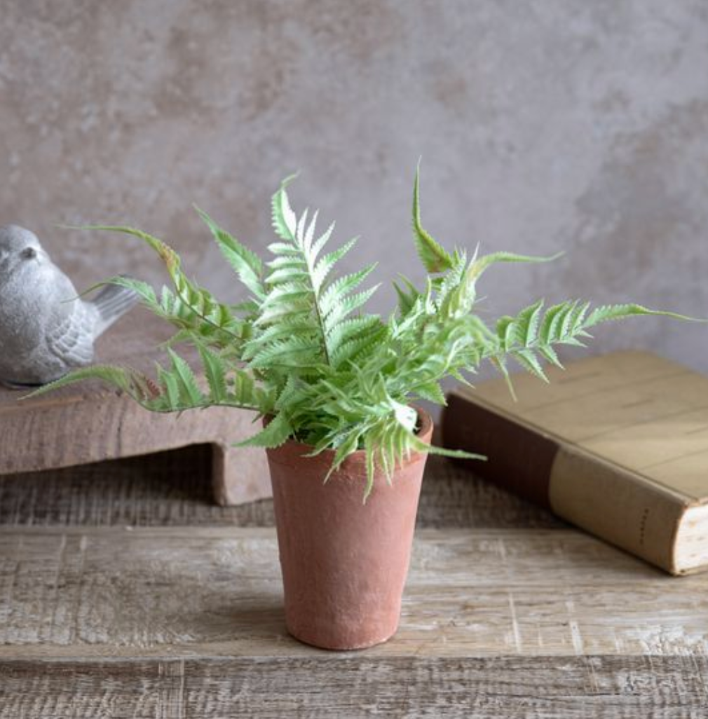 Henry Bright Green Potted Fern