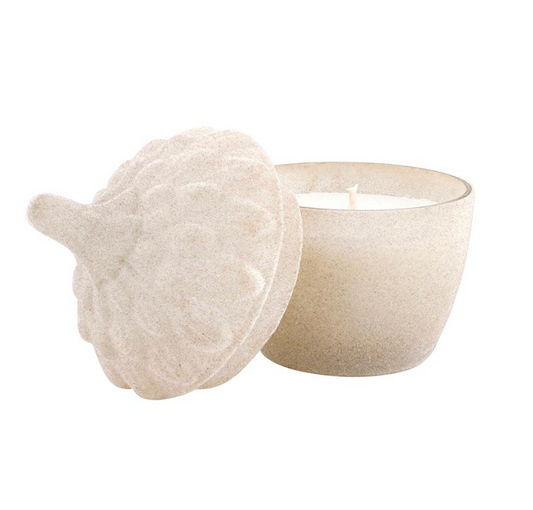 Velvet Acorn Candle | Leather & Leaves